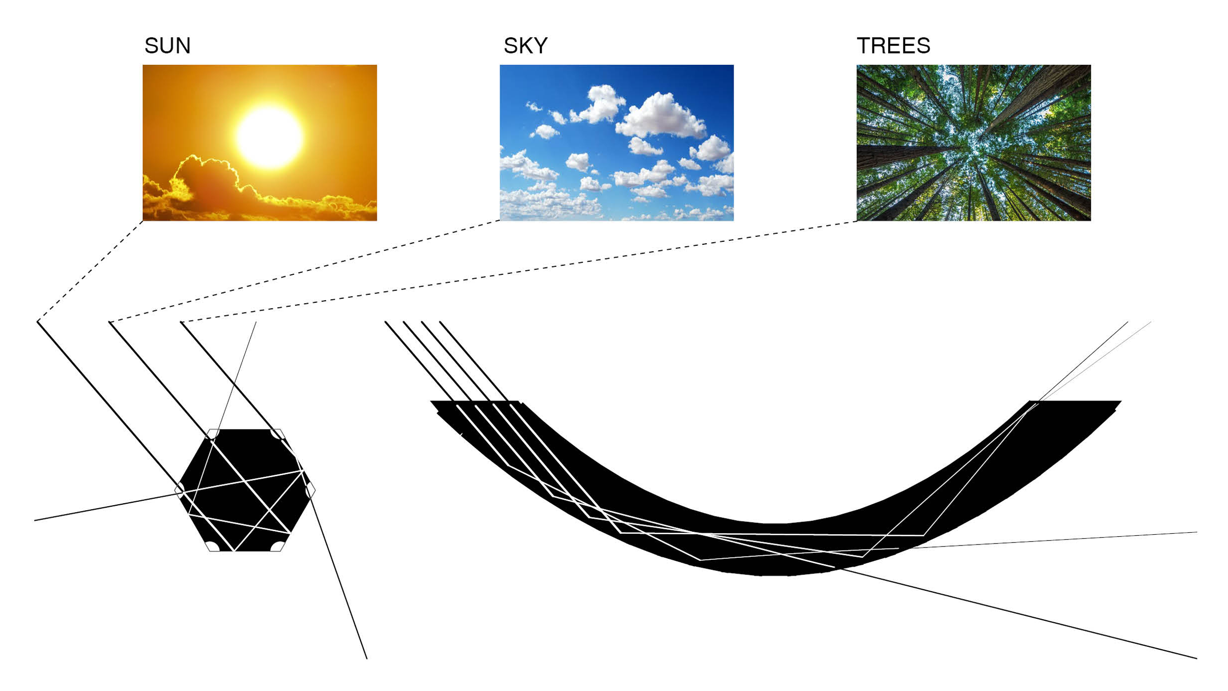 sun-sky-trees